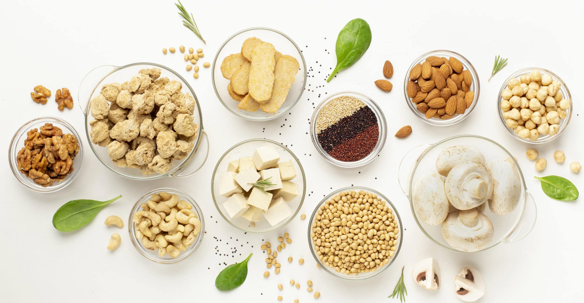 Assorted vegan protein, nut, and seed substitutes for cooking and baking.