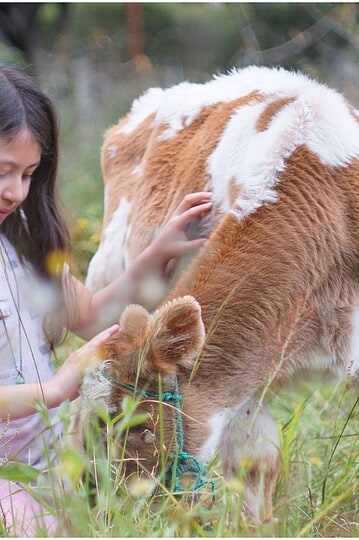 A young girl with long brown hair gently pets a brown and white calf in a grassy, outdoor setting, surrounded by tall green plants and wildflowers.