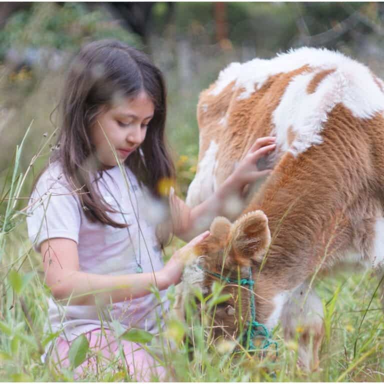 A young girl with long brown hair gently pets a brown and white calf in a grassy, outdoor setting, surrounded by tall green plants and wildflowers.